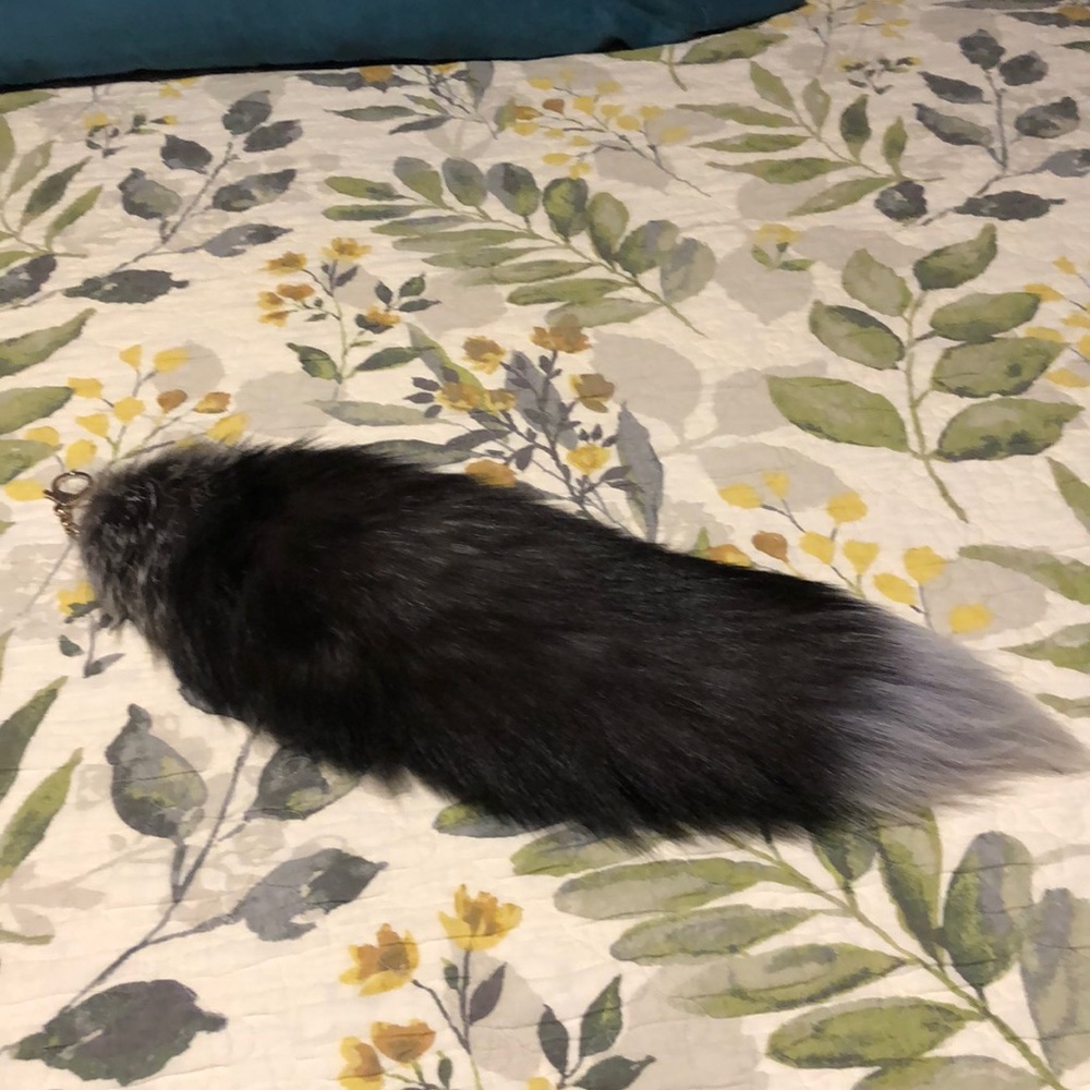 Wolf Tail